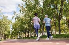 [图]布朗30分莫布利19+11 凯尔特人20分大胜骑士